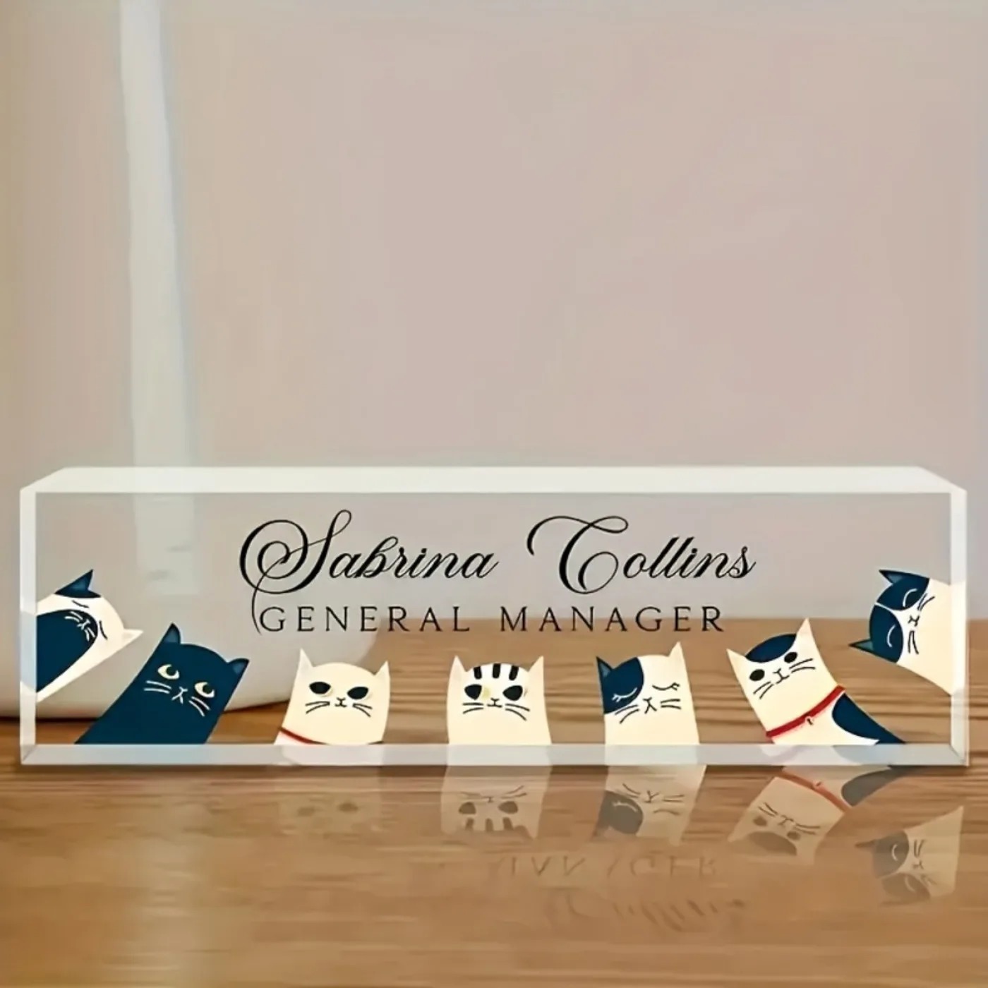 [2D Flat] Custom Transparent C - Desk Name Plate 评论和价格